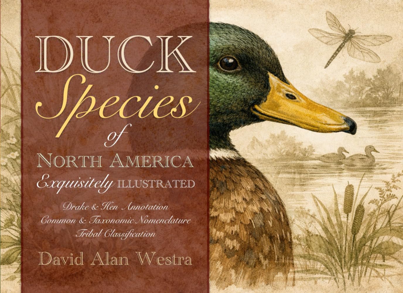 Duck Species of North America: Exquisitely Illustrated