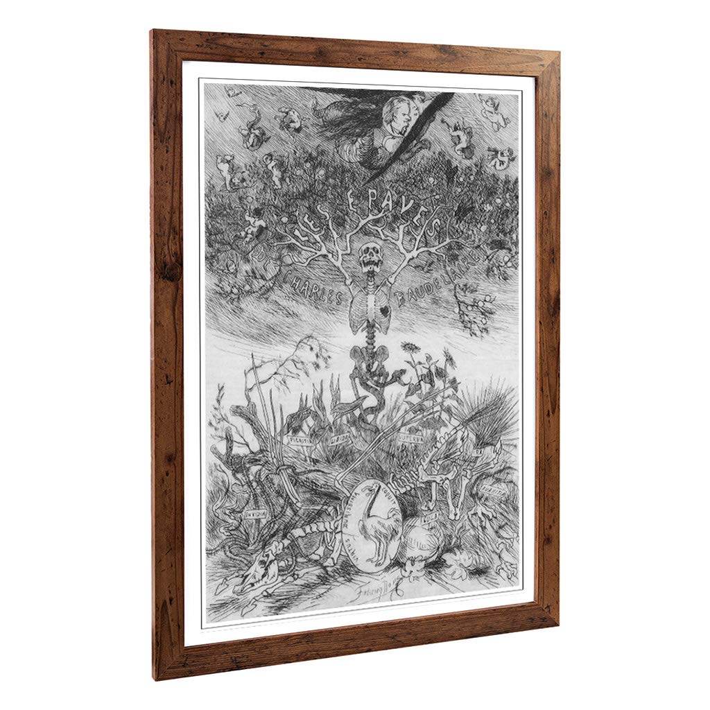 Big Box Art Framed Print of Felicien Rops The Scraps Design | Wall Art Picture | Home Decor for Kitchen, Living, Dining Room, Bedroom, Hallway, Office, Walnut, A2 / 24.5x18 Inch / 62x45cm