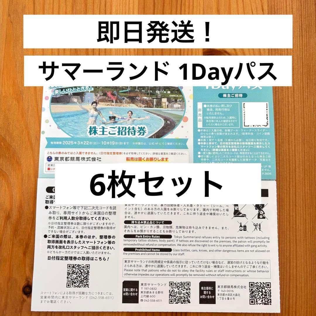 東京サマーランド 株主ご招待券 4枚セット 1Dayパス 全日利用可サマーランド 株主優待 ご招待券 1Dayパス 4枚 def