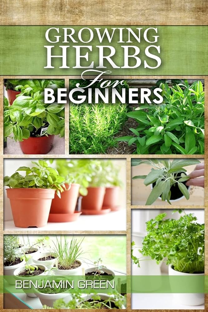 Growing herbs indoors for beginners (grow light, recommend using, indoor herb, indoor herb garden) Growing herbs indoors for beginners