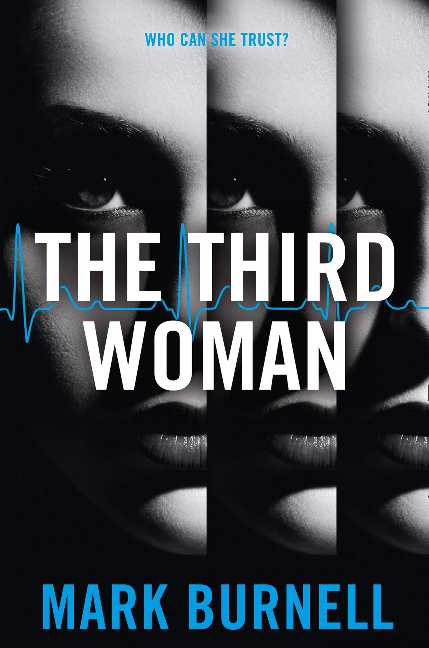 The Third Woman: Book 4 (The Stephanie Fitzpatrick series)
