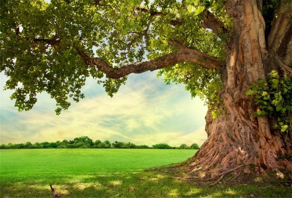 Renaiss 6x4ft Spring Park Meadow Photography Background Spring Old Tree Backdrop Kids Adult Outdoor Picnic Nature Scenery Portrait Shooting Photo Booth Shoot Vinyl Studio Props