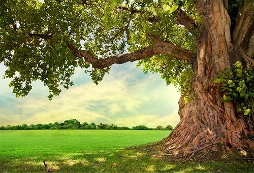 Yeele Telón de fondo de primavera de 12 x 8 pies para fotografía, parque de primavera, prado, fondo de árbol viejo, picnic al aire libre, paisajes