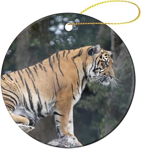 Miniatura 9 de Adornos colgantes de Navidad, adornos de camello de animales silvestres, recuerdo festivo de cerámica, relleno de calcetín de Navidad para tío,