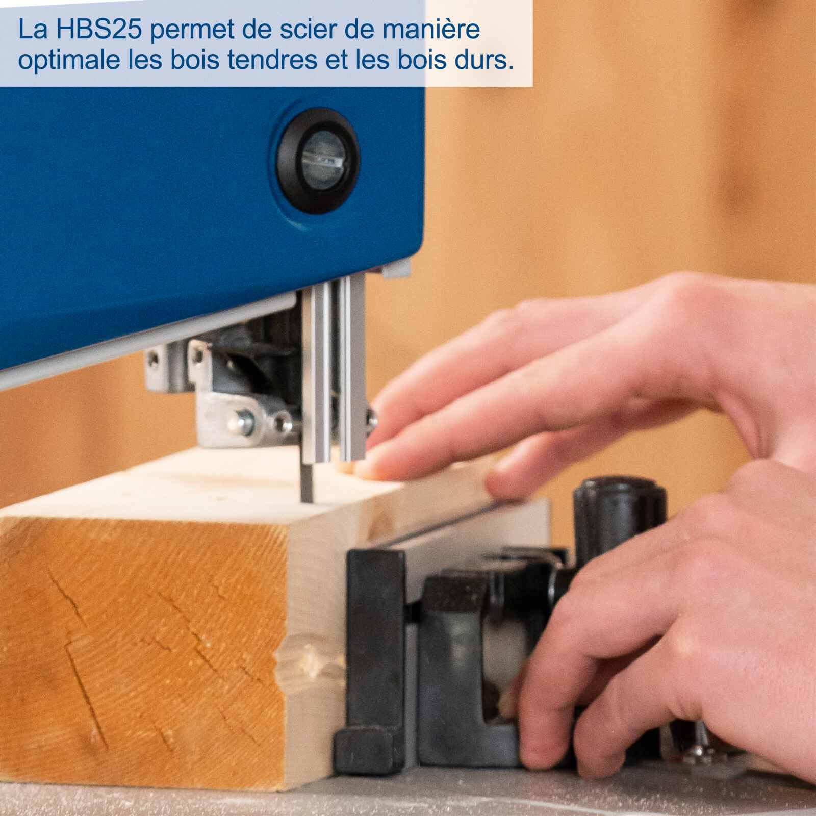 Scheppach Scie à ruban HBS25-350 W 230 V Hauteur de coupe 80 mm