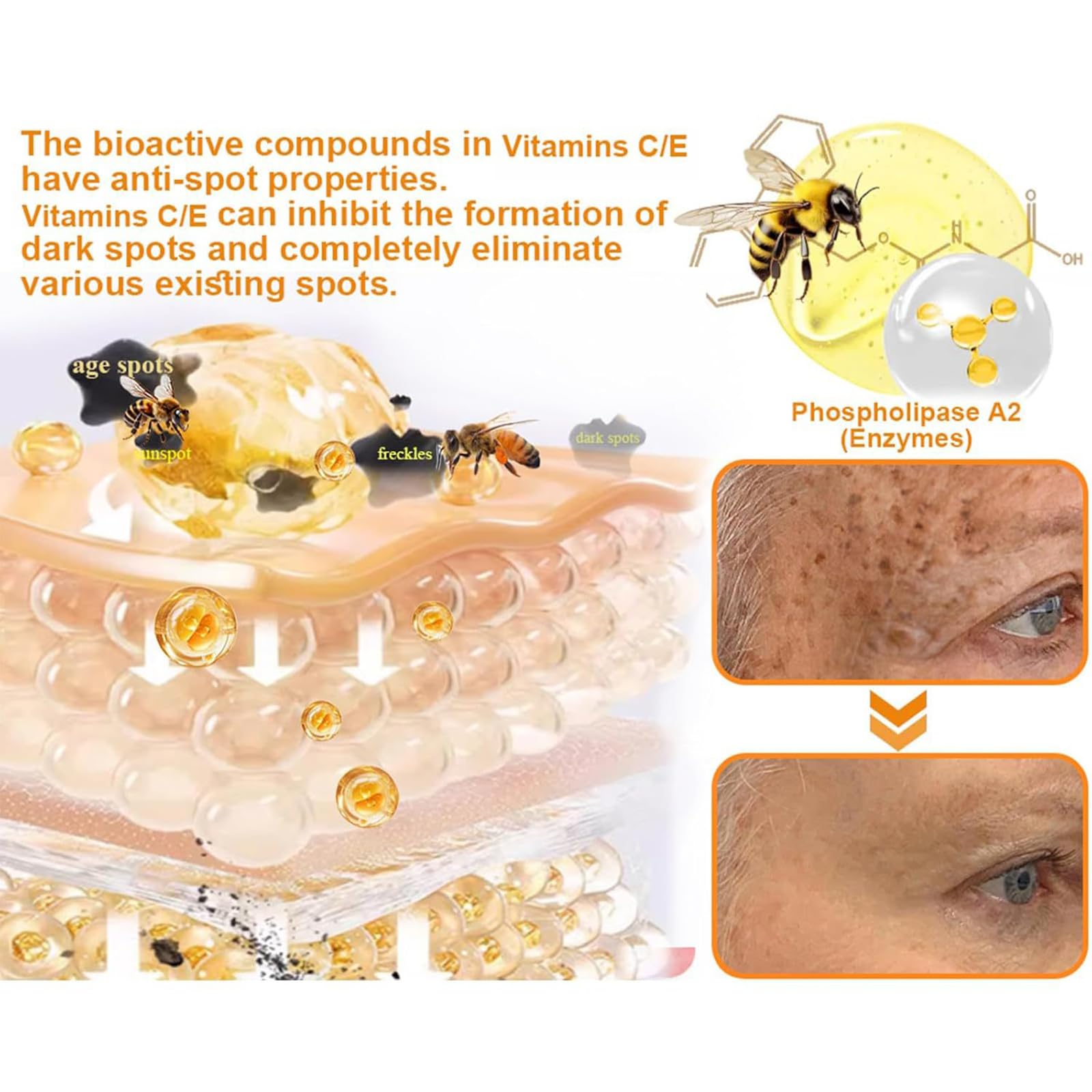 Bee Venom Nourishing Cream for Daily Hydration & Skin, Lightweight Moisturiser with Natural Serum - Image 3