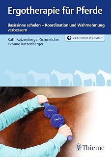 Ergotherapie für Pferde: Basissinne schulen – Koordination und Wahrnehmung verbessern