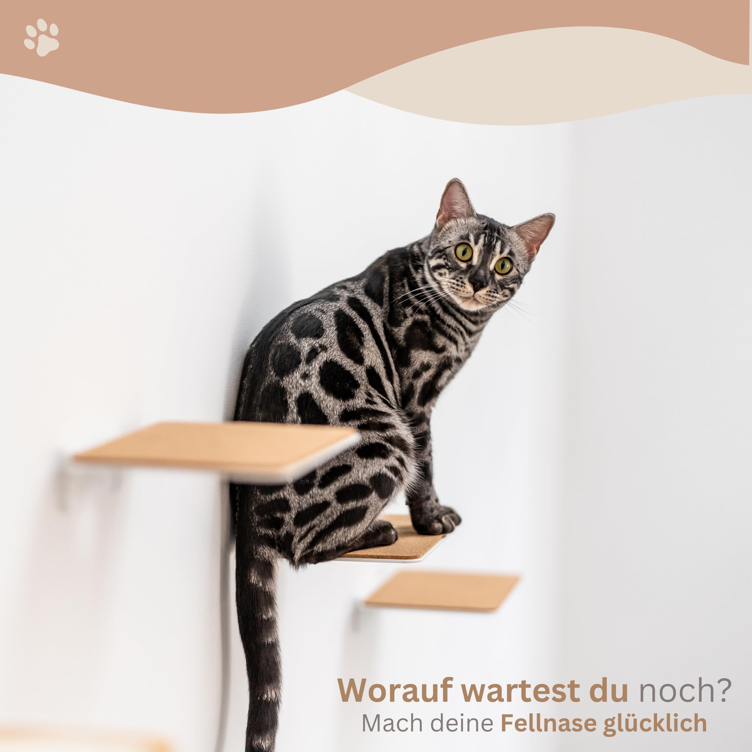 AZANO® Schody dla Kotów, zestaw 3 dużych, nowoczesne wzornictwo z metalu, ścianka do wspinaczki, drabinka, ściana | drabinka (białe)