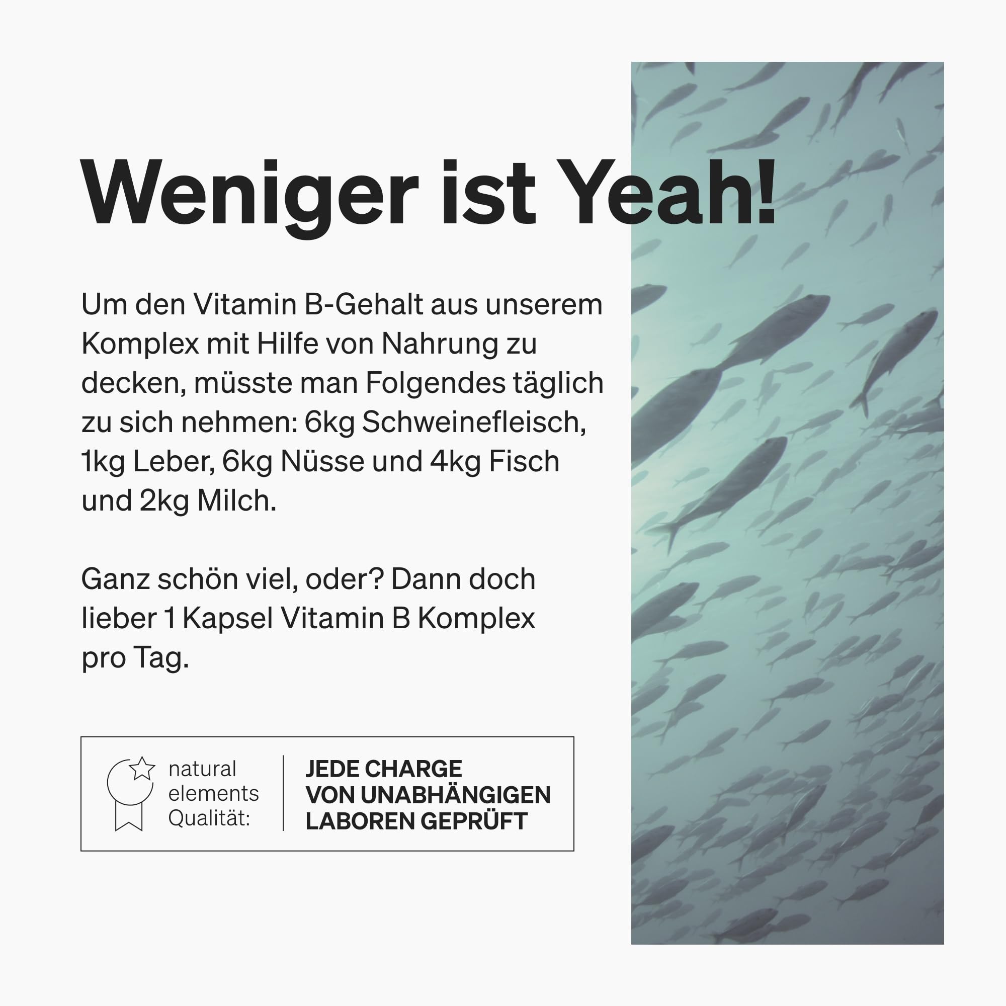 natural elements Vitamin B Komplex - 180 Kapseln - Hochdosiert: Mit 500 µg Vitamin B12 - alle 8 B-Vitamine (B1, B2, B3, B5, B6, B7, B9, B12) - vegan, in Deutschland produziert & laborgeprüft
