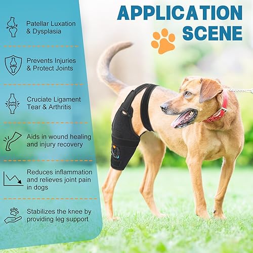 Miniatura 7 de Rodillera para perro para ajuste de pierna trasera, extra grande, férula de metal con bisagra, soporte flexible para perro ACL con 2 tiras de metal