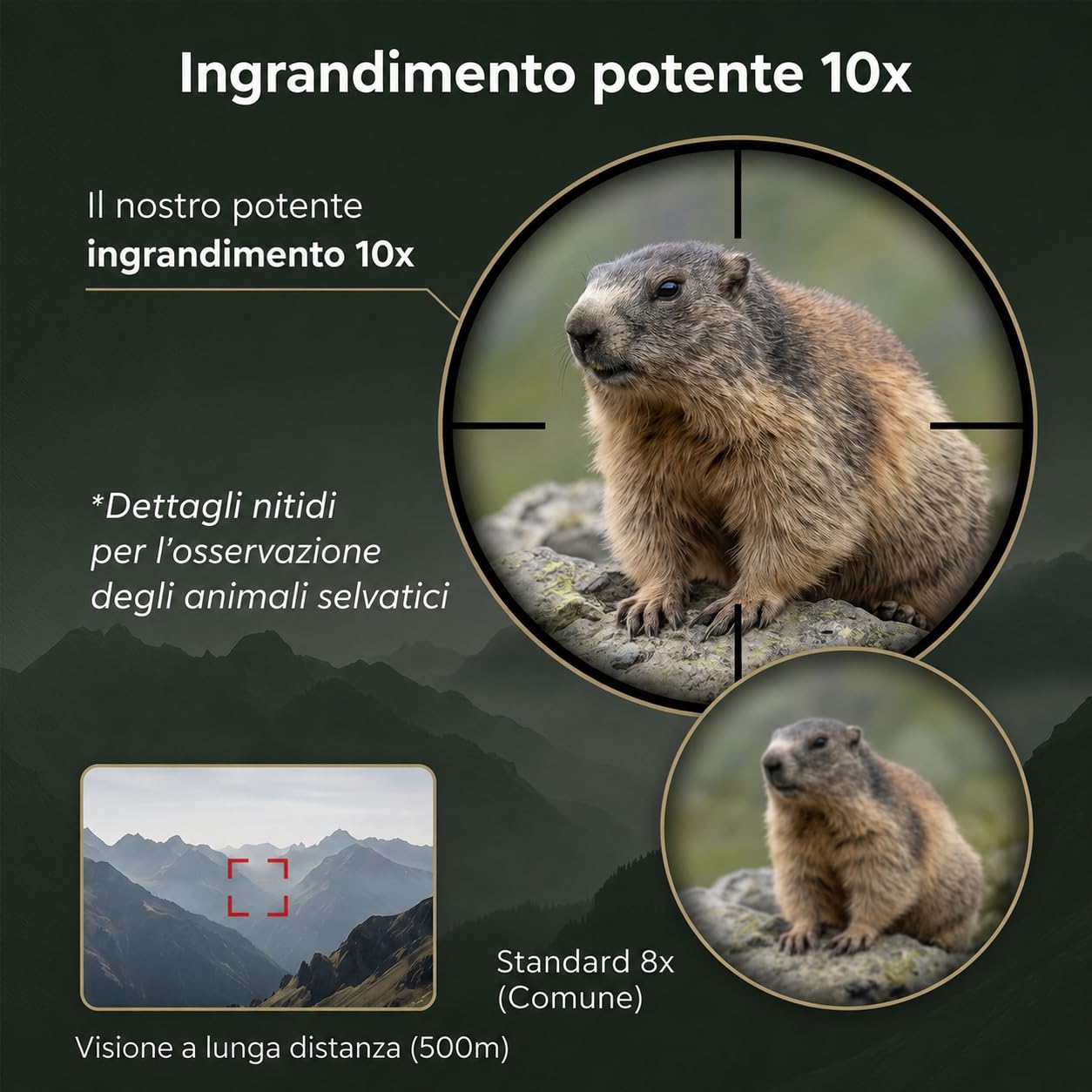 Binocolo Professionale Compatto 10x26, Prisma BAK4 e Lenti FMC Multistrato, Leggero e Impermeabile, per Birdwatching, Escursionismo, Viaggi e Concerti, Adatto ad Adulti e Ragazzi | Leggero e Impermeabile, per Birdwatching, Escursionismo, Viaggi e Concerti