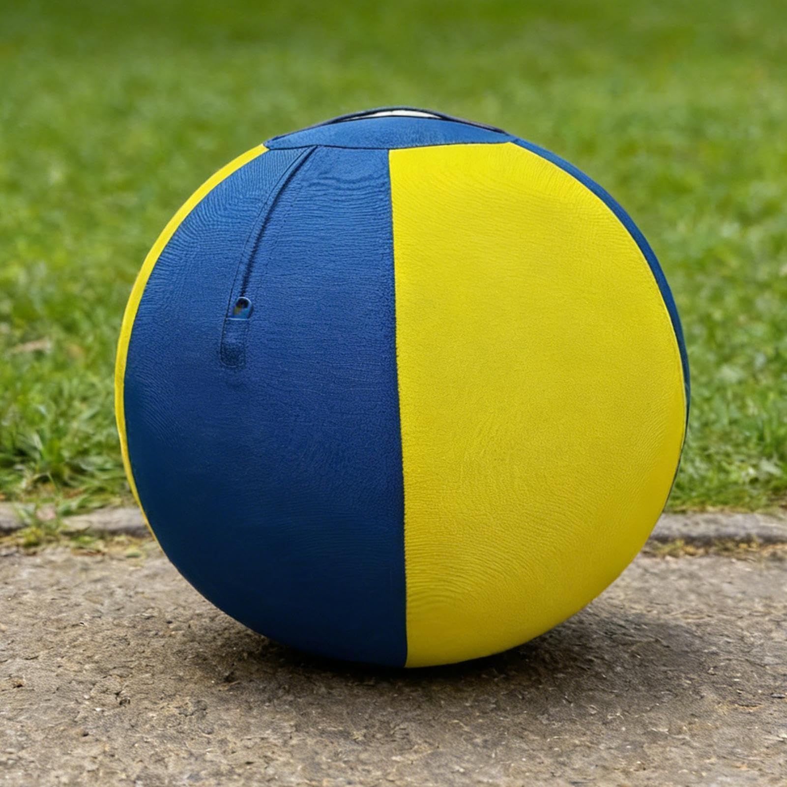 Inflatable Herding Ball for Dogs, 45cm Dog Herding Balls with Air Pump and Washable Cover for Outdoor Indoor Play