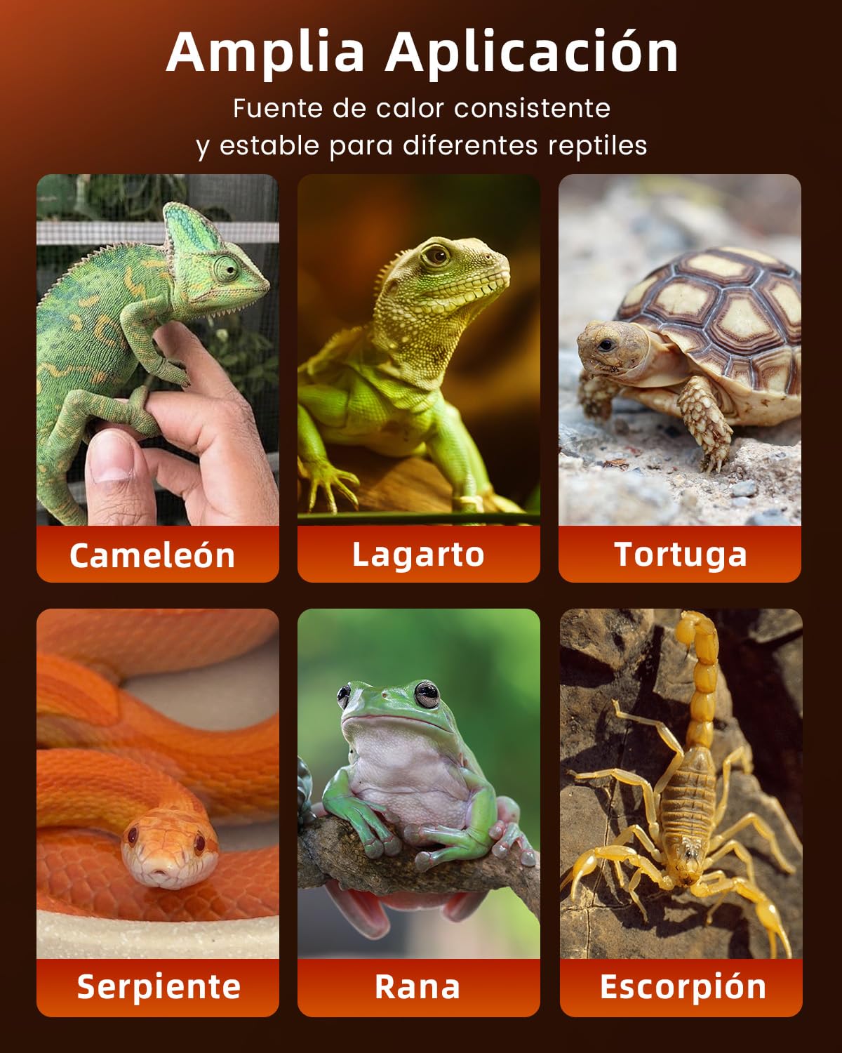 Glowup 7W Reptil Alfombras de Calor, Mascotas Almohadilla de Calefacción con Ajuste de Temperatura, Tanque Anfibio Calentador para Reptiles, Extraíble Bajo Tanque Reptil Alfombra de Calefacción, (2X)