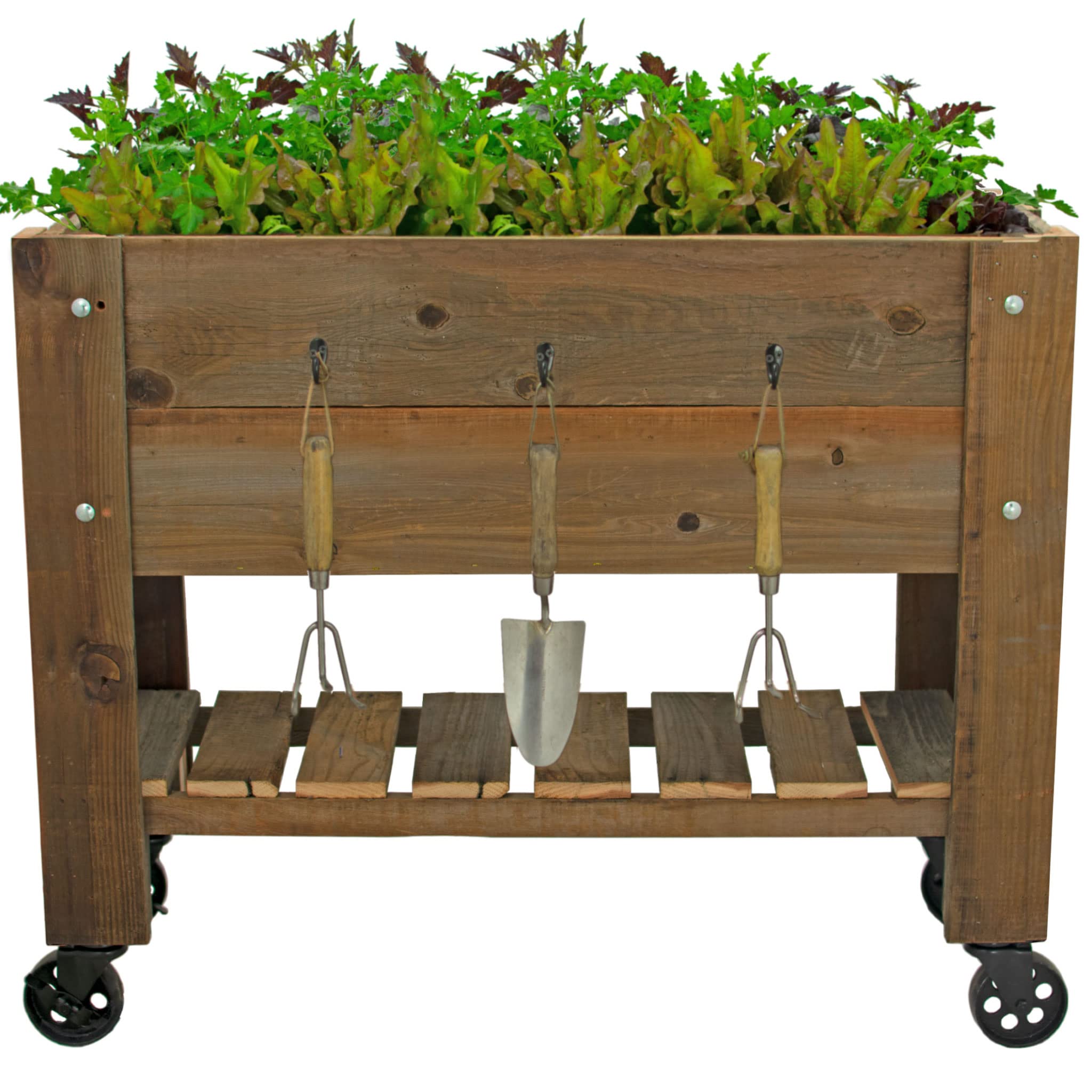 EST. LEE DISPLAY L D 1902 Raised Bed Planter Box