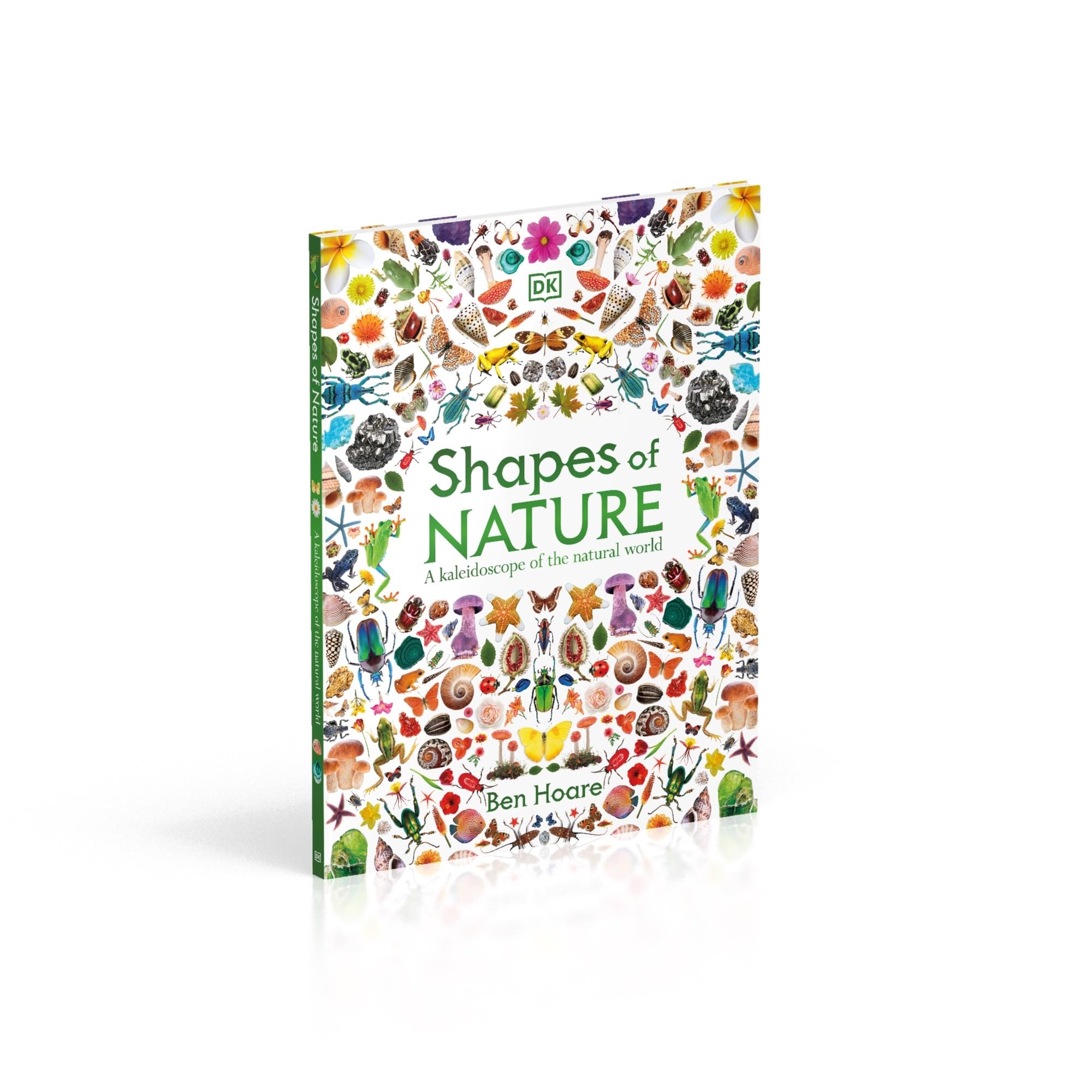 Shapes of Nature: A Big, Beautiful Book of the Natural World for Kids