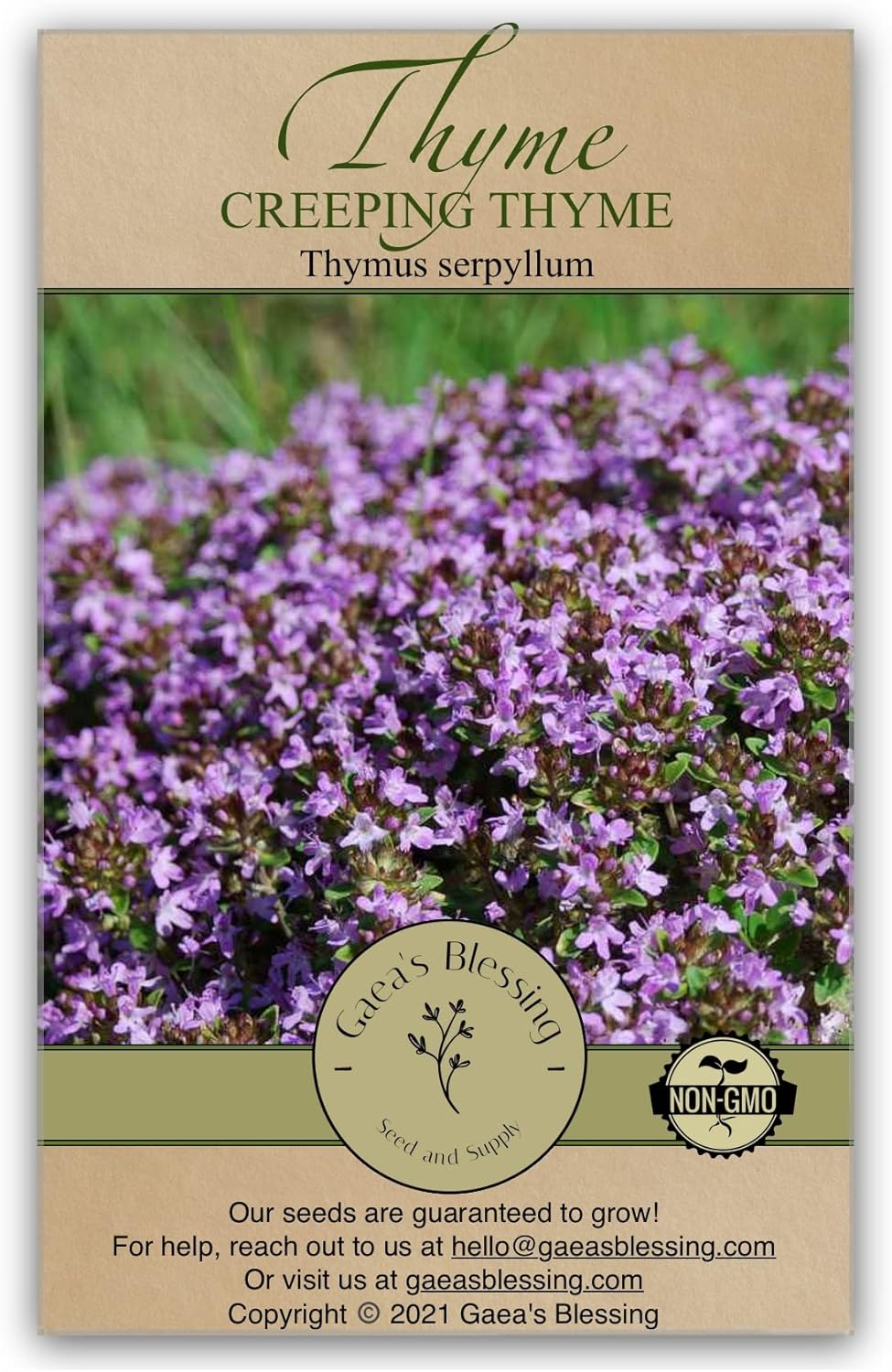 Gaea's Blessing Seeds Creeping Thyme Seeds Heirloom