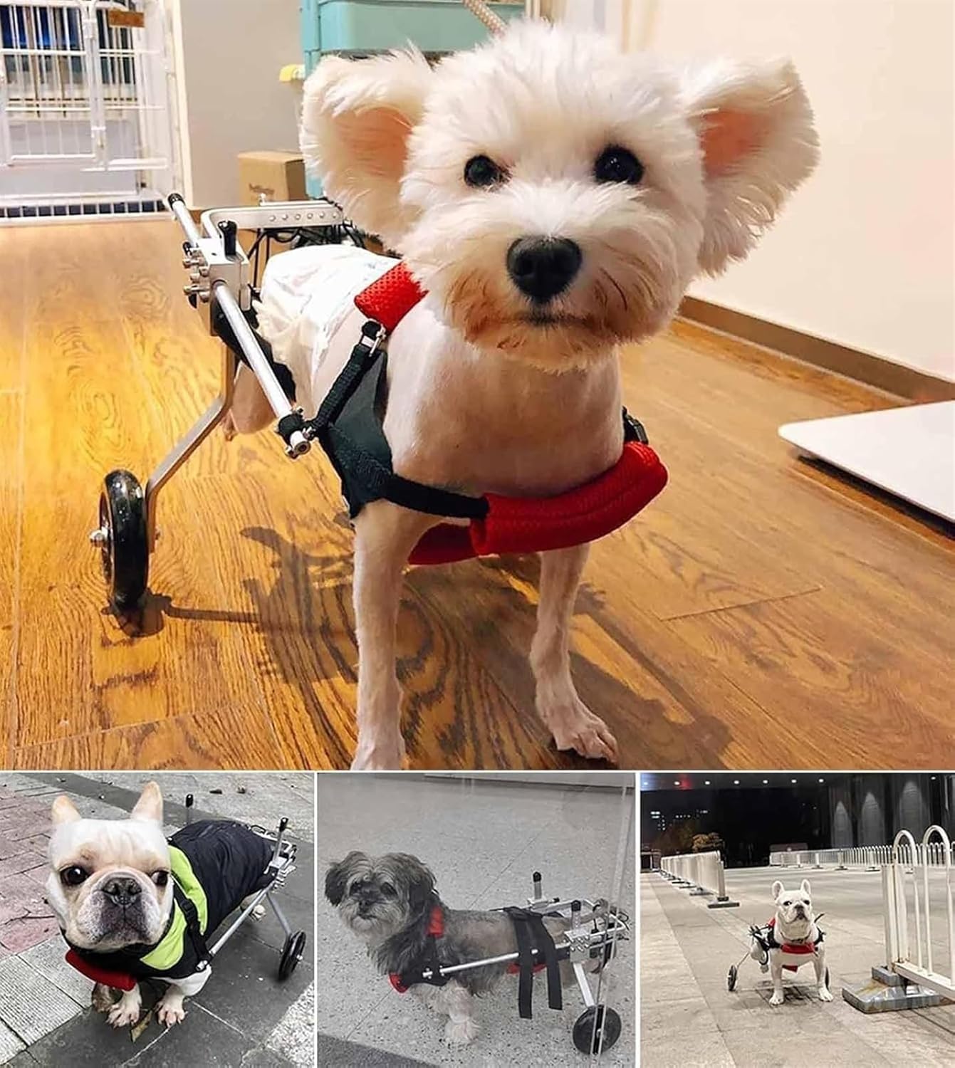 麻痺犬用犬用車椅子 - 2輪モビリティカート XSサイズ - 障害のあるペットの快適性と生活の質を向上。怪我をしたり、後ろ足が弱くな