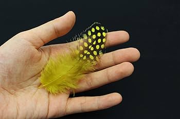 フライマテリアルセット 多様なアイテム Amazon | Tigofly 100個/ロット 11 ミックスカラー ルース モル