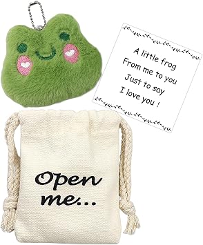 LUOKIFUR Pocket hug Frog Gift Inspirational Gifts for Family Friends Loved And Colleagues Frog