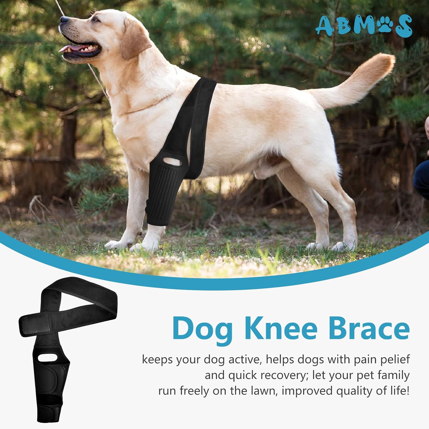 ABMOS Dog Knee Brace with Side Stabilizers, Knee Immobilizer Support for Dogs with Torn ACL, Knee Cap Dislocation, Arthritis, Reduces Pain and Inflammation, 7 Sizes 714Z2PbjATL. AC SL1500