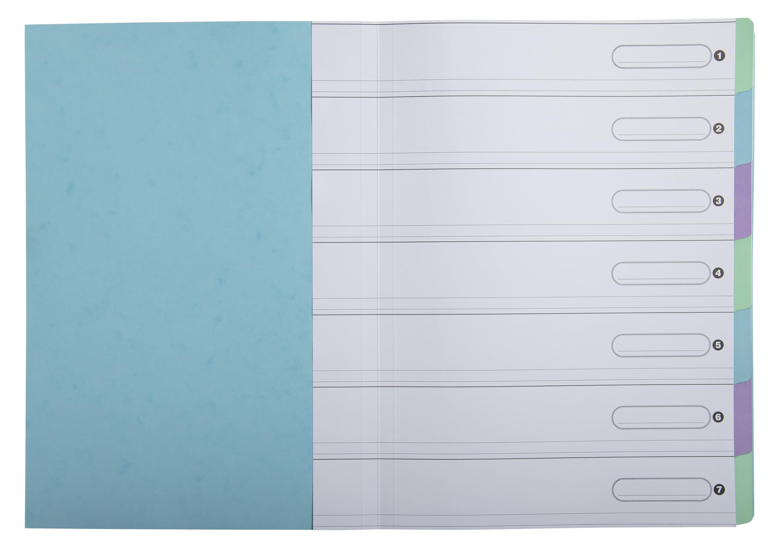 Exacompta - Rif. 56562E - Cartone da 8 raccoglitori Harmonika con elastici a 7 scomparti, A4, colore blu pastello