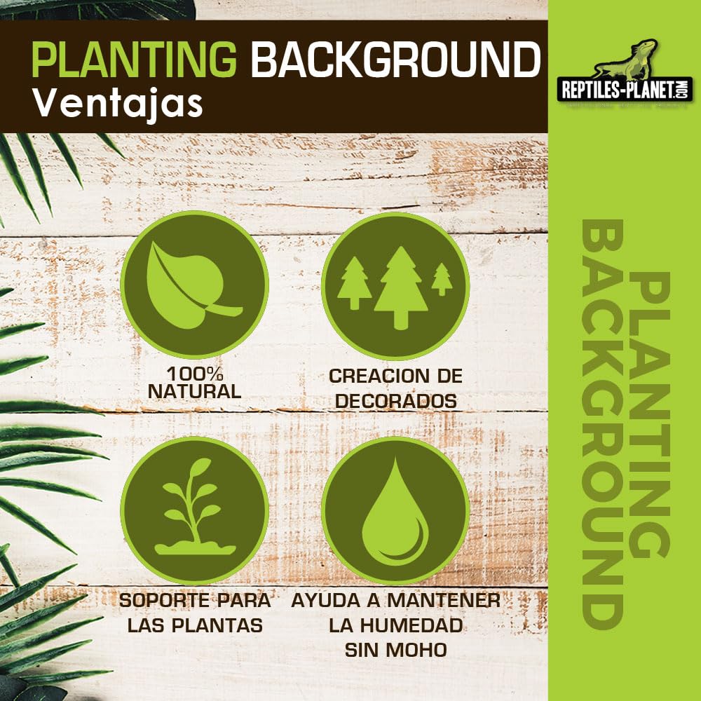 Reptiles Planet – Imagen de Fondo de Coco para terrarios para Planter 30 x 30 x 1 cm