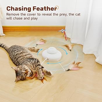 Amazon.com : Potaroma Cat Toys Chargeable, 3in1 Hide and