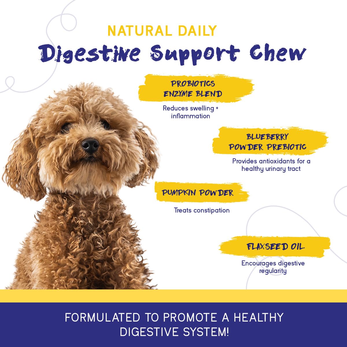 PupGrade Digestive Support Chews for Dogs, Prebiotic + Probiotic with Fibre Blend, Supports Normal Digestive & Immune Health - Image 4