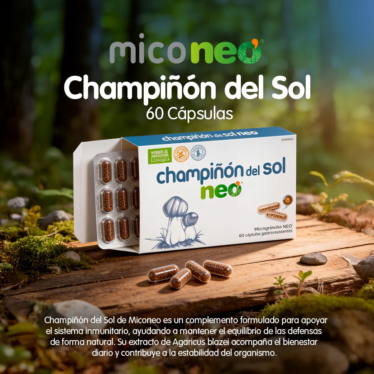 Mico NEO | Champiñón del Sol | 60 Cápsulas | Suplemento Alimenticio Natural | Elaborado con Hongos