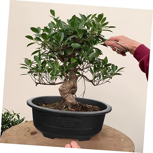 Miniatura 5 de Angoily 2 macetas de entrenamiento para bonsái, maceta de plástico de 15 pulgadas con bandeja de drenaje, maceta ovalada para decoración de