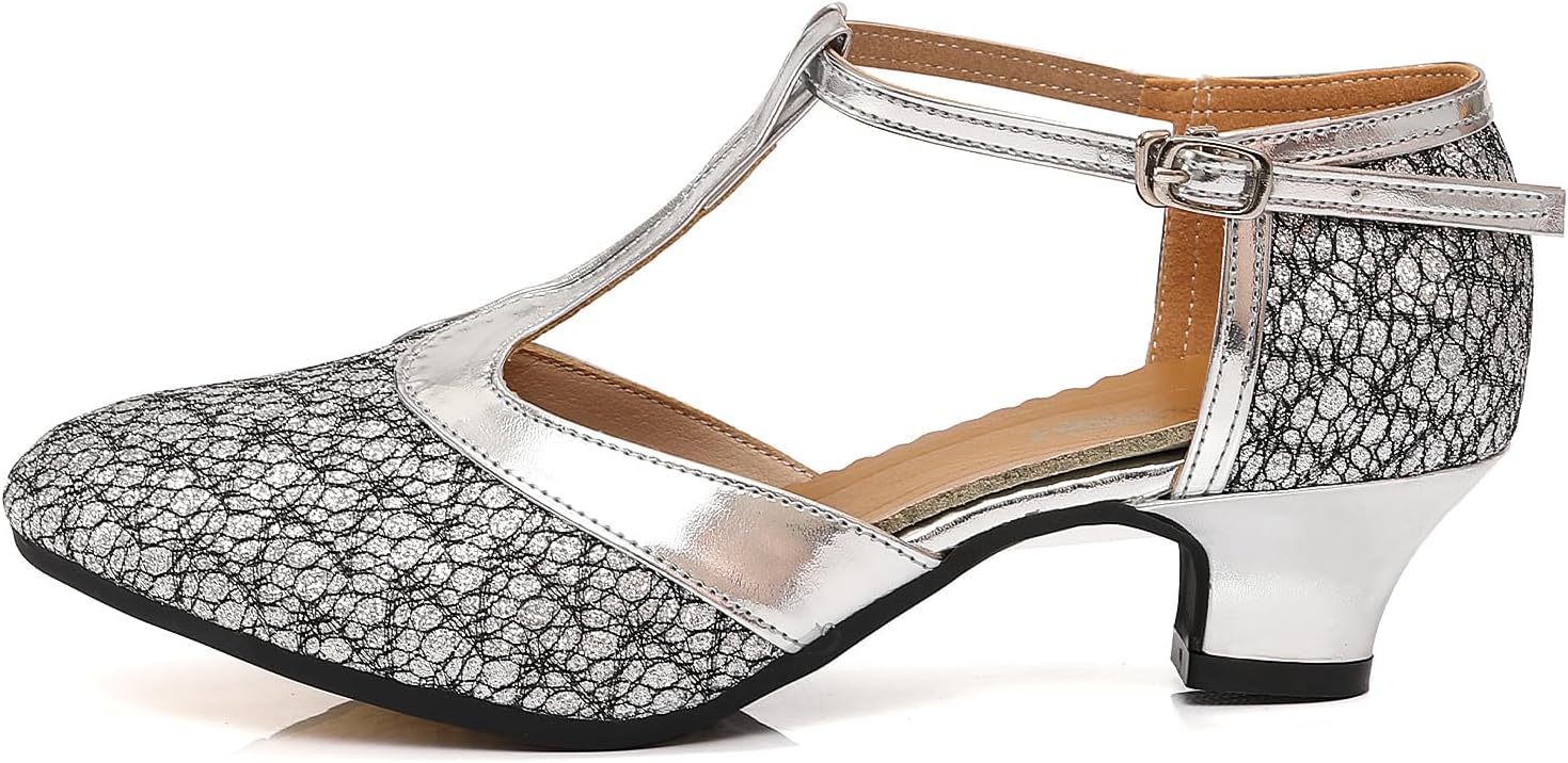 Women's Glitter Dance Shoes Flapper Gatsby 1920s Shoes Latin Tango Salsa Ballroom Heels