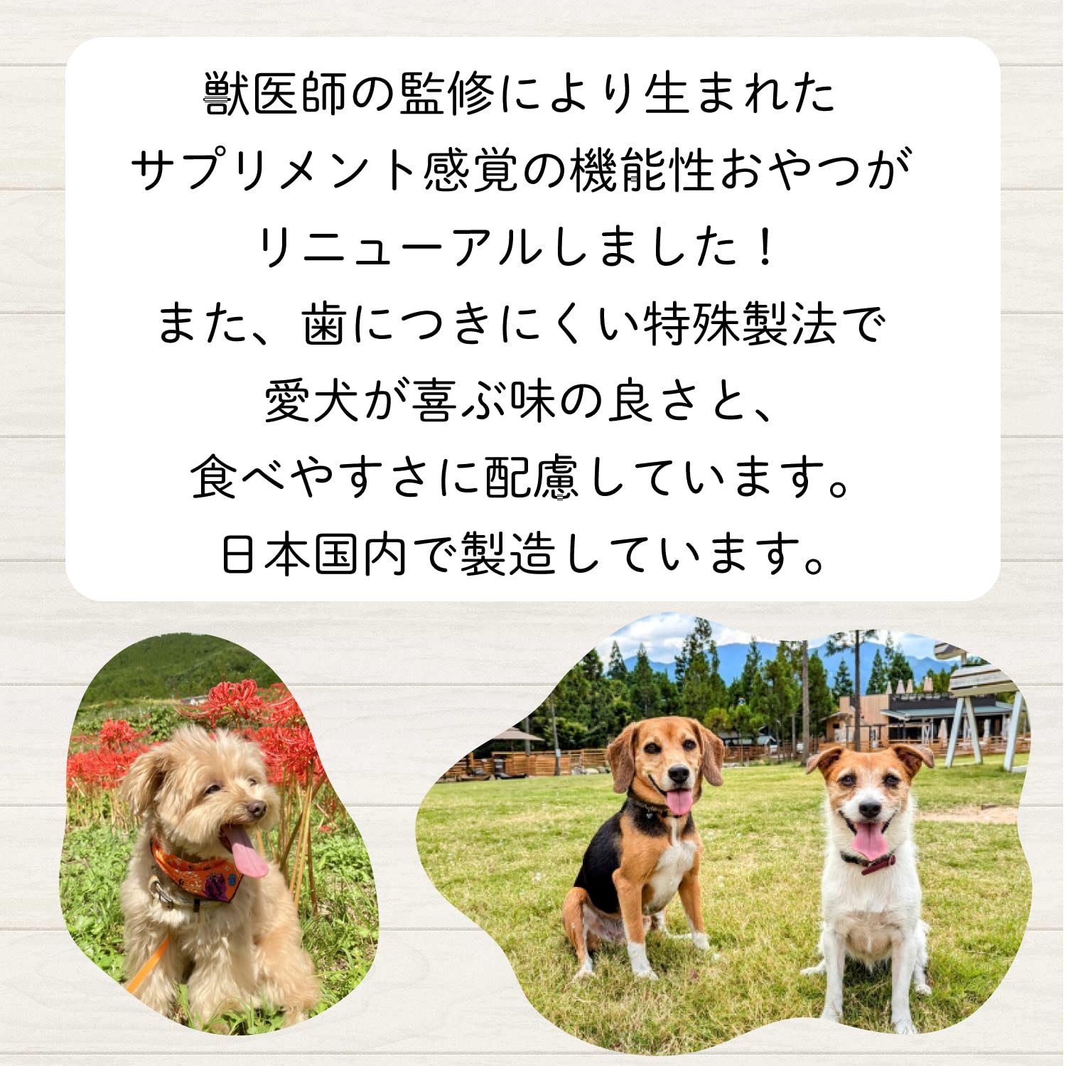Amazon | 【得々価格-2袋セット】アニウェル すっきりボーロ 60g 犬