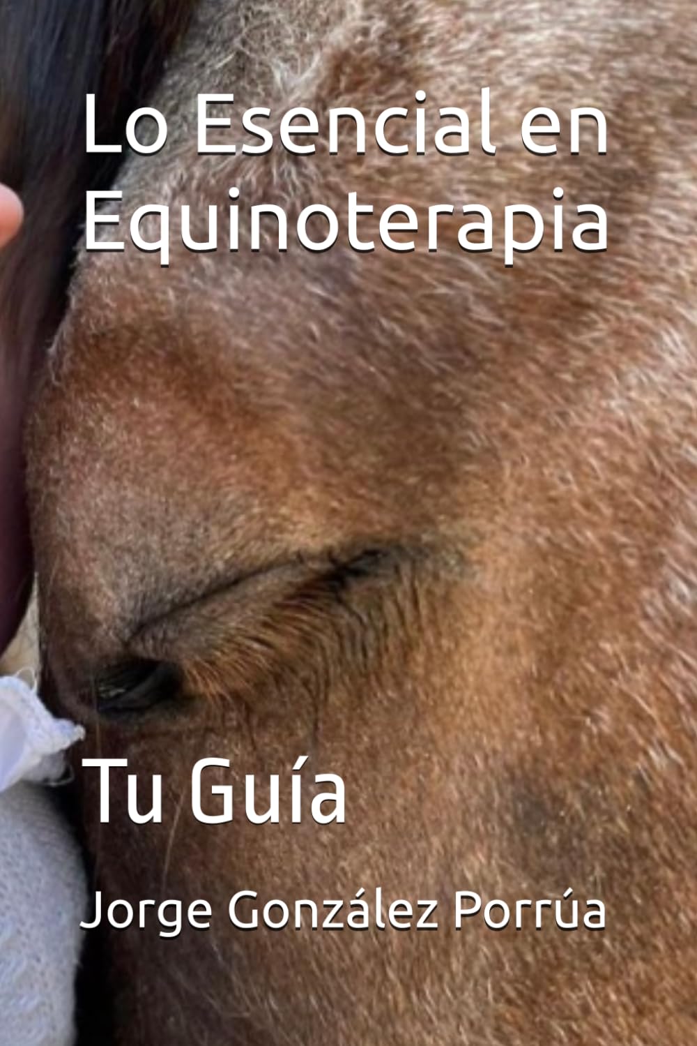 Lo Esencial en Equinoterapia: Tu Guía