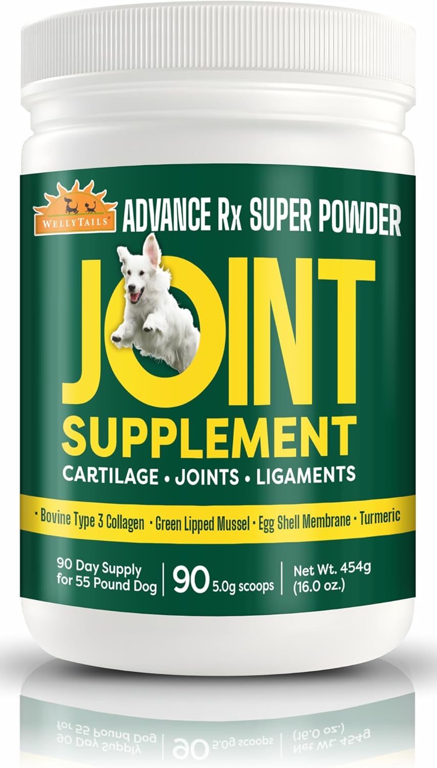 Hip Joint and Ligaments Supplement for Dogs Glucosamine, Green Lipped Mussel, Chondroitin, MSM, Collagen & Hyaluronic Acid – Concentrated Powder Supplement for Large Dogs