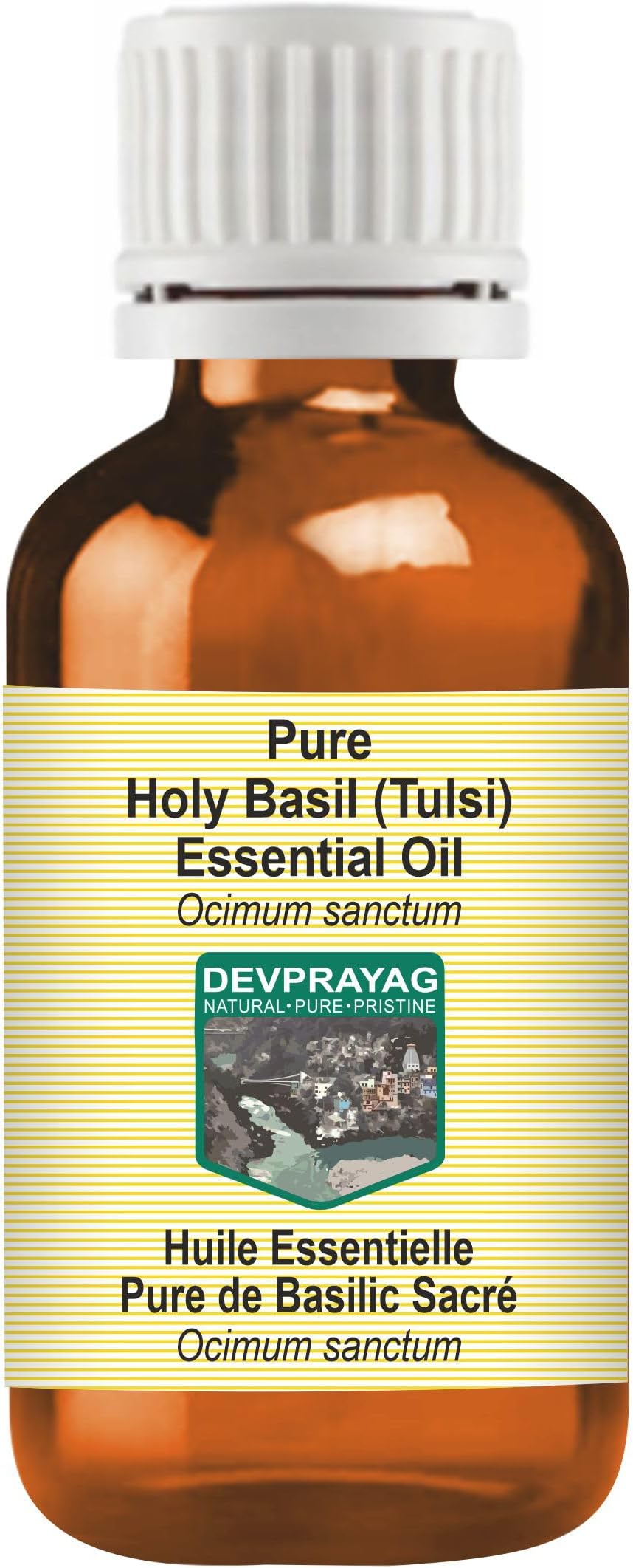 Holy Basil (Tulsi) Essential Oil (Ocimum Sanctum) Pure | Non-Sticky | Non-Greasy | Lightweight | Men & Women | All Skin Types | Steam Distilled 50ml (1.69 oz)
