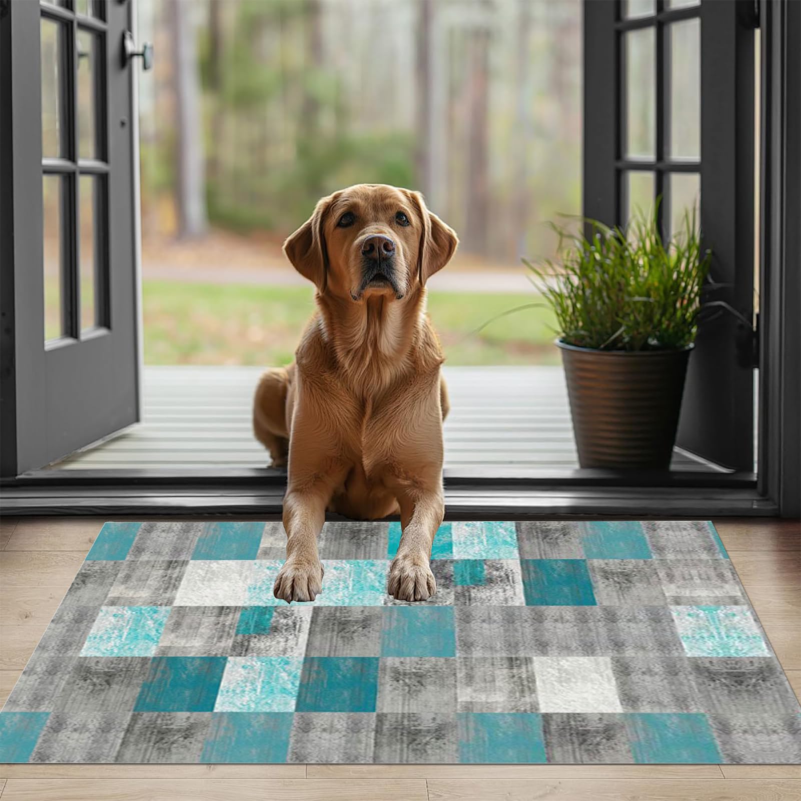 Alfombras Cocina Lavable Antideslizante, 50 x 400 cm Alfombra para salón Lavadero Dormitorio, Alfombra Corredor para Puerta Cocina Pasillo