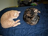 Review Image by A. S.