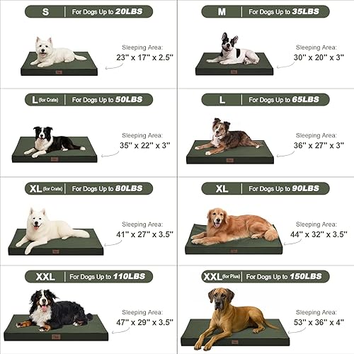 Miniatura 6 de Tail Stories Cama para perros para todo tipo de clima, cama impermeable para perros grandes, cama ortopédica de espuma de huevo indestructible para