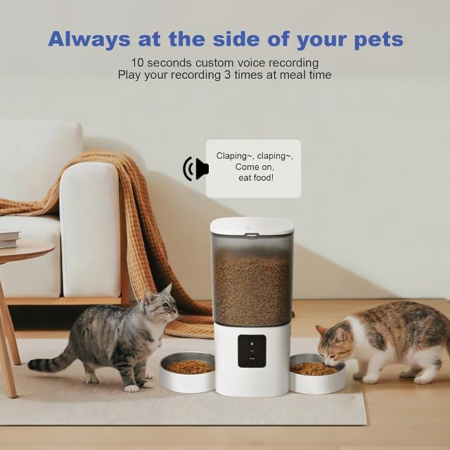 Foto 6 de 8 de Alimentador automático WiFi 2.4G/5G para gatos