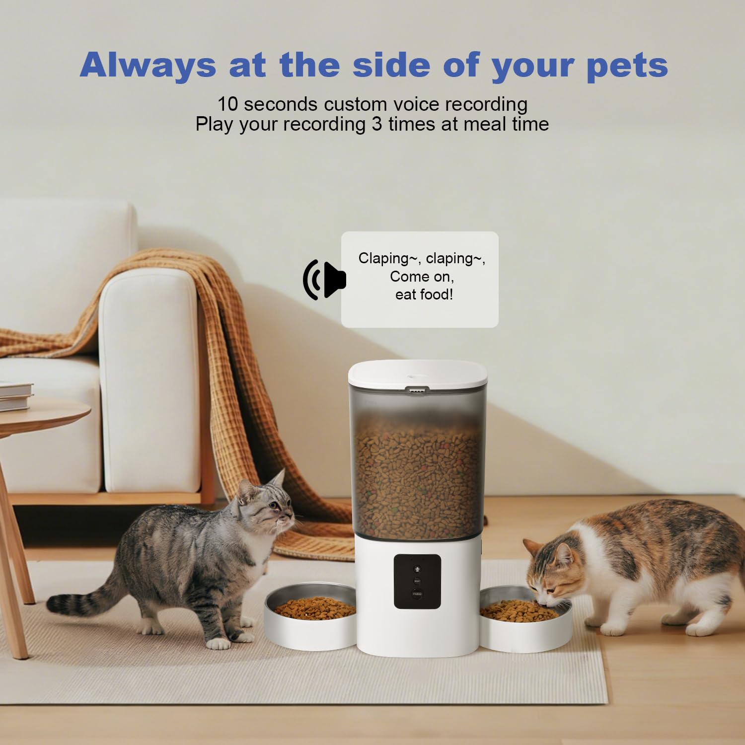 ANDOLL HOME 6L Automatic Cat Feeder, 2 Pets Timed Cat Dry Food Dispenser view 6
