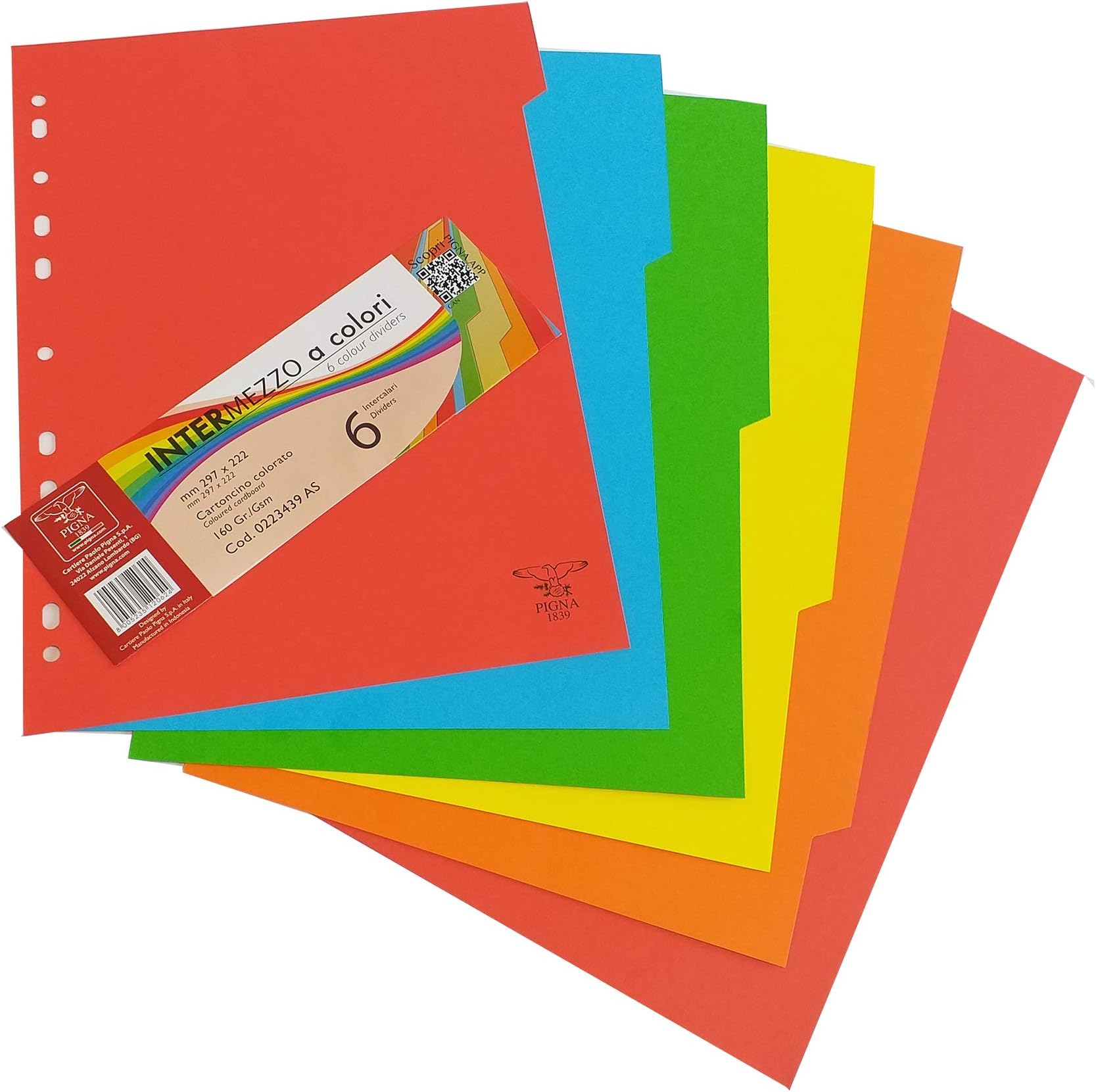 Divisori Per Raccoglitore A4 - 3 Pezzi Con 12 Linguette Colorate, Materiale PP Resistente