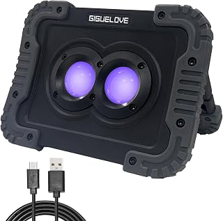 Rechargeable Black Light Battery Powered Portable Blacklight 395nm LED Flood Light Black Lights for Glow Party Bank Fishing Catfishing Halloween Glow in The Dark Decoration Type C Port