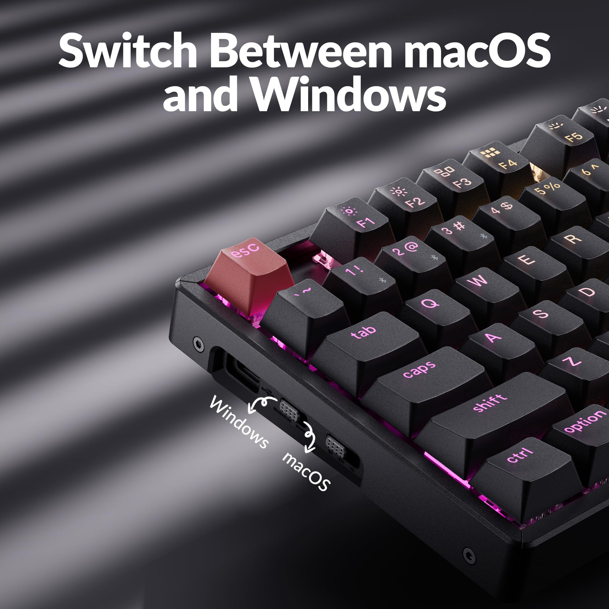 Amazon.com: Keychron K8 Version 2 TKL Wireless Mechanical Keyboard