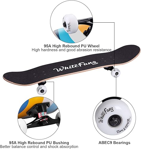 Miniatura 43 de WhiteFang Patinetas para principiantes, patineta completa de 31 x 7.88, 7 capas de arce canadiense de doble patada cóncava estándar y trucos