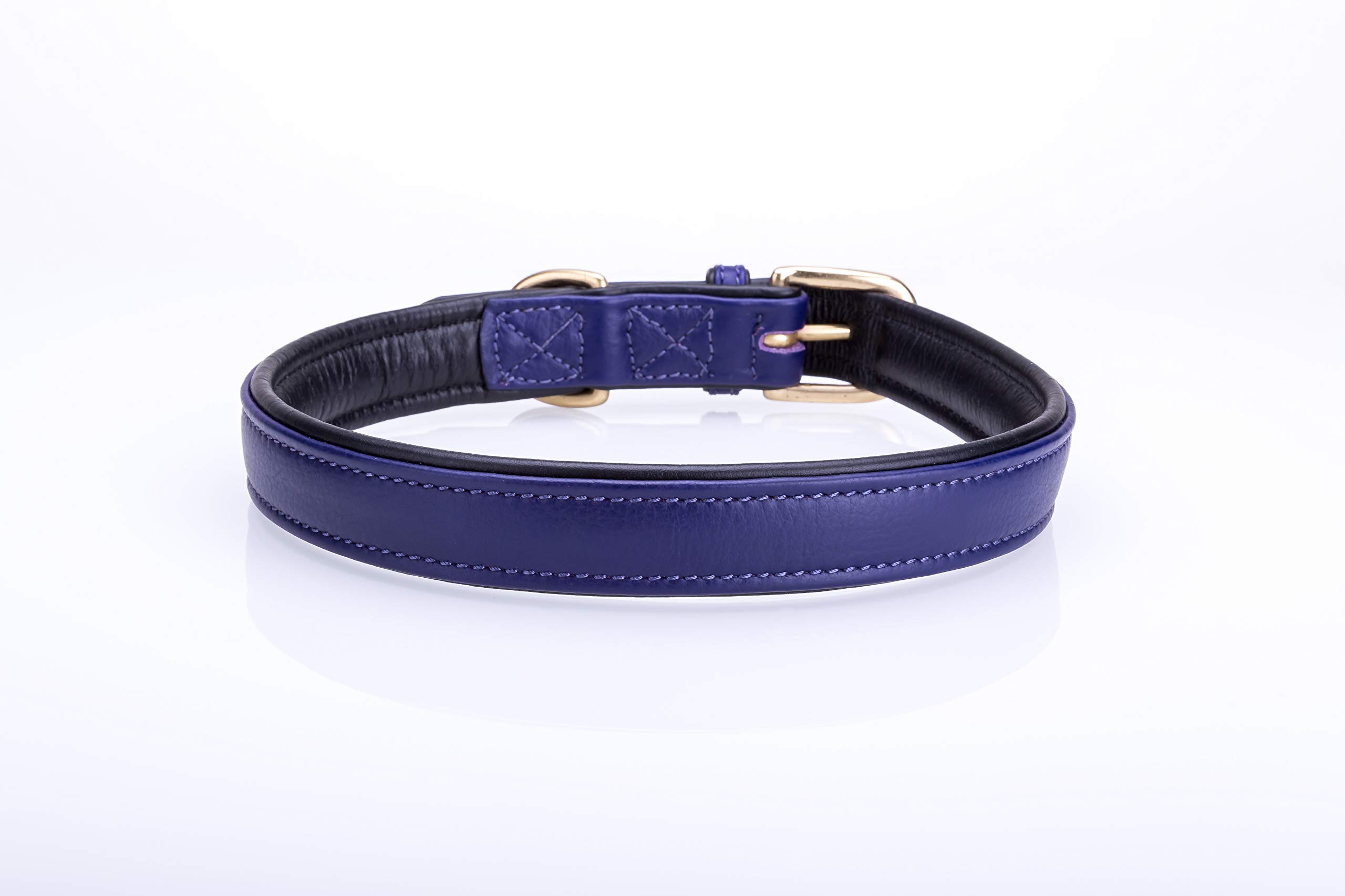 Collier pour chien en cuir contre les irritations grâce à sa doublure rembourrée et souple