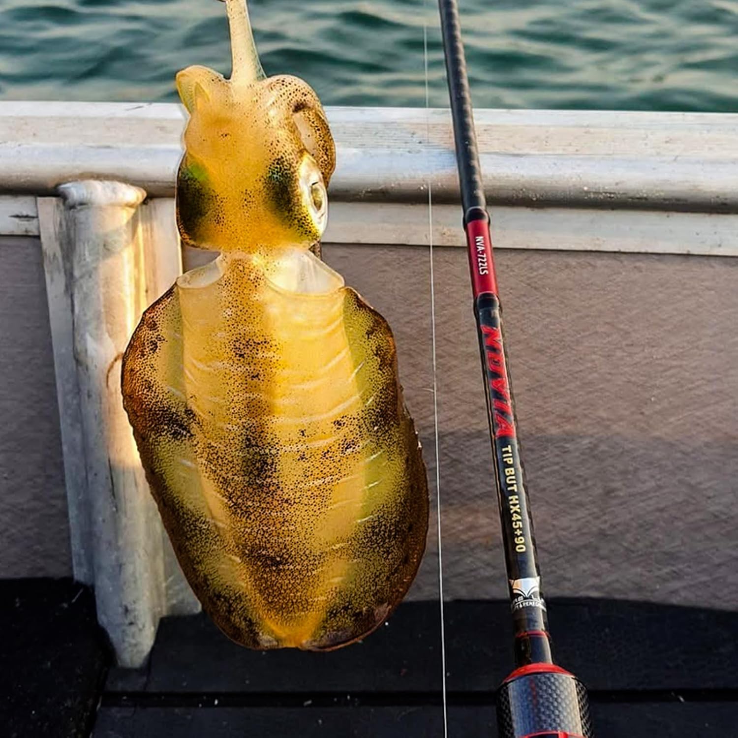 PURELURE Novia Inshore Spinning Rod Saltwater 7'2''-8'6'', TORAY 30T Carbon Fishing Rod Regular Fast, Split Reel Seat Design, Fuji Guides, Boat Fishing for Big Tail Squid Cuttlefish