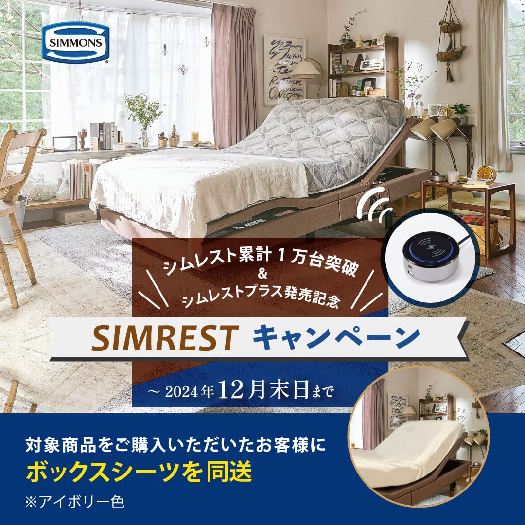 Amazon.co.jp: 【12月末までボックスシーツ同送キャンペーン実施中 