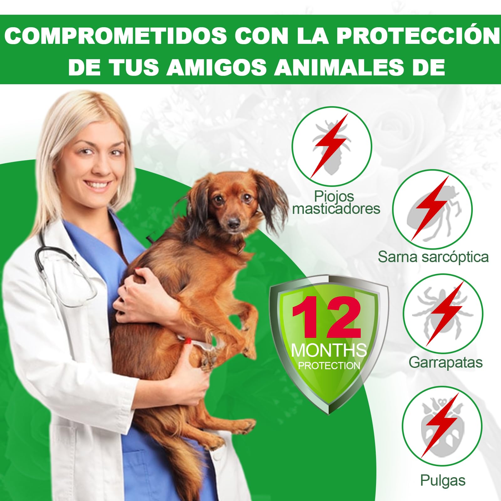 Pack 2 Collares Antiparasitarios para Perros, 24 Meses de Protección contra Pulgas, Garrapatas y Mosquitos - 100% Natural, Impermeable, Ajustable, para Todos los Tamaños — view 2
