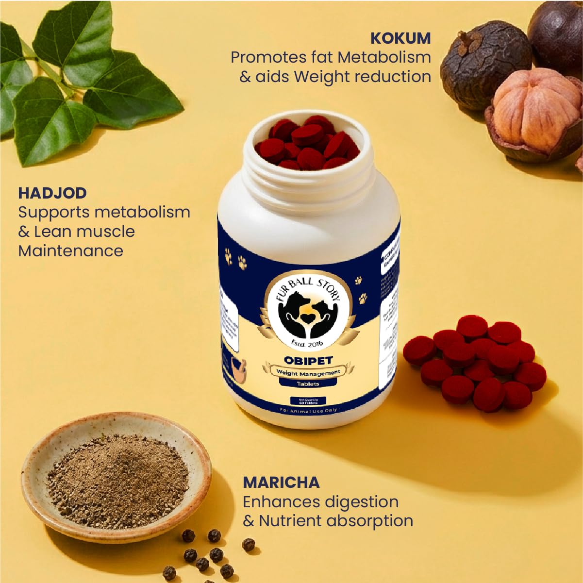FUR BALL STORY Obipet Dog Weight Management Tablets | Controls Appetite & Metabolism Support | Helps Reduce Bloating & Supports Digestion | Ayurvedic Vet-Trusted Formula | 60 Tablets 3