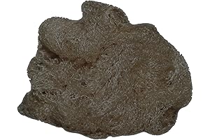 Hy Equestrian One-Knot Hairnets: Essential Hair Management for Equestrians